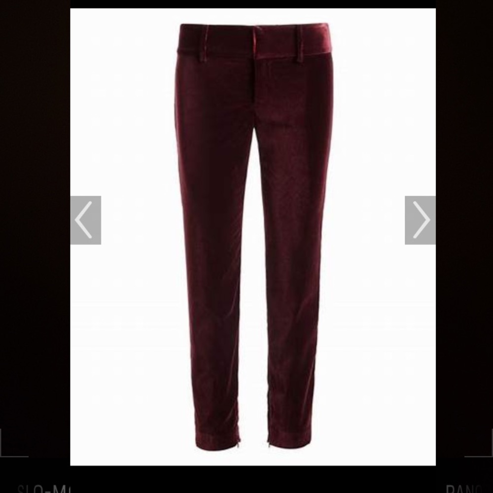 Burgendy Alice and Olivia pantsuit